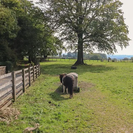 Hébergement de vacances Stable